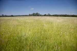 Land- click for photo gallery